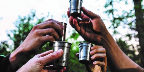 Stanley Stainless Steel Shot Glass Set As Low As $10 (Regularly $20)