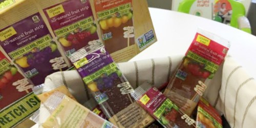 Amazon: Stretch Island Fruit Leather 48-Piece Pack Only $8.72 Shipped (Just 18¢ Per Piece)