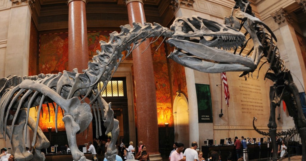 American Museum of Natural History