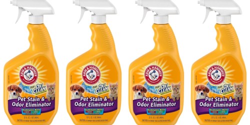 Arm & Hammer Pet Stain & Odor Remover Just $2.37 at Walmart.com