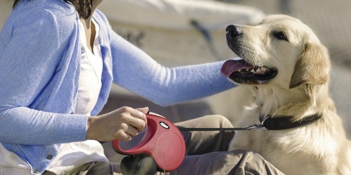 Flexi Classic Tape 10-Foot Pet Leash $3.66 (Regularly $22) – Ships w/ $25 Amazon Order