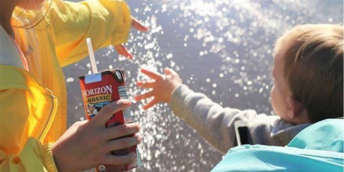 Amazon: Horizon Organic Chocolate Milk Boxes 12-Pack Only $11.38 Shipped (Just 95¢ Each)