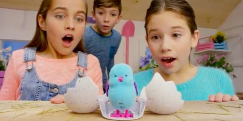 Little Live Pets Baby Chick Habitat Toy Only $10 (Regularly $25)