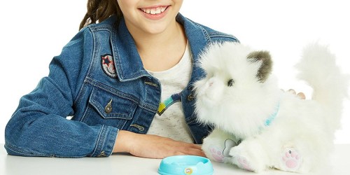 Little Live Pets Cuddles My Dream Kitten Only $28.80 (Regularly $50)