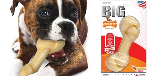 Nylabone Big Chew Bone Just $8.83 (Ships w/ $25 Amazon Order)