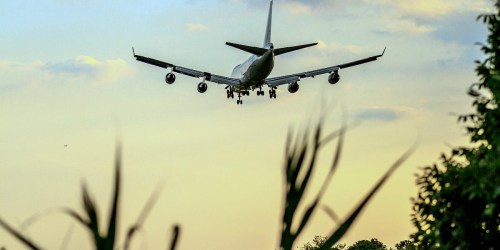 **Get FREE TSA PreCheck or Global Entry with These Credit Cards or Rewards Programs