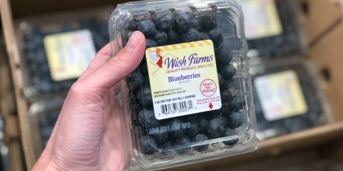 ALDI Deals: Blueberries as Low as $1.49 AND Avocados Only 39¢ Each