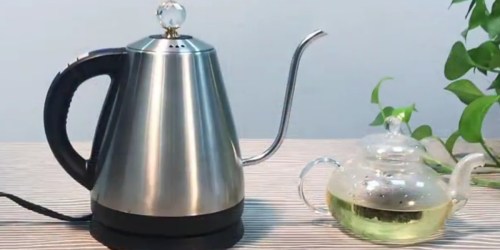 Amazon: Elechomes Electric Kettle Only $19.99 Shipped