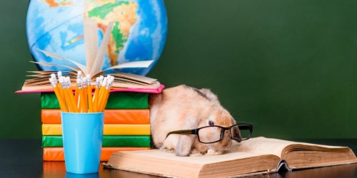 Calling All Teachers! Possibly Add Pets to Your Classroom for FREE