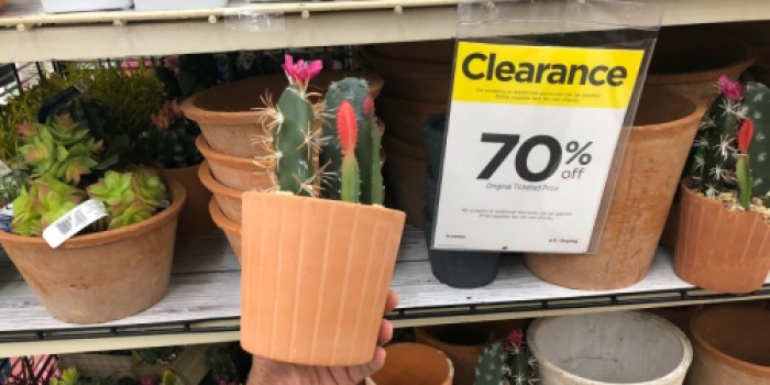 70% Off Summer Decor Clearance at Michaels