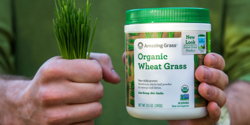 Amazon: 40% Off Amazing Grass Organic Wheat Grass Powder + Free Shipping