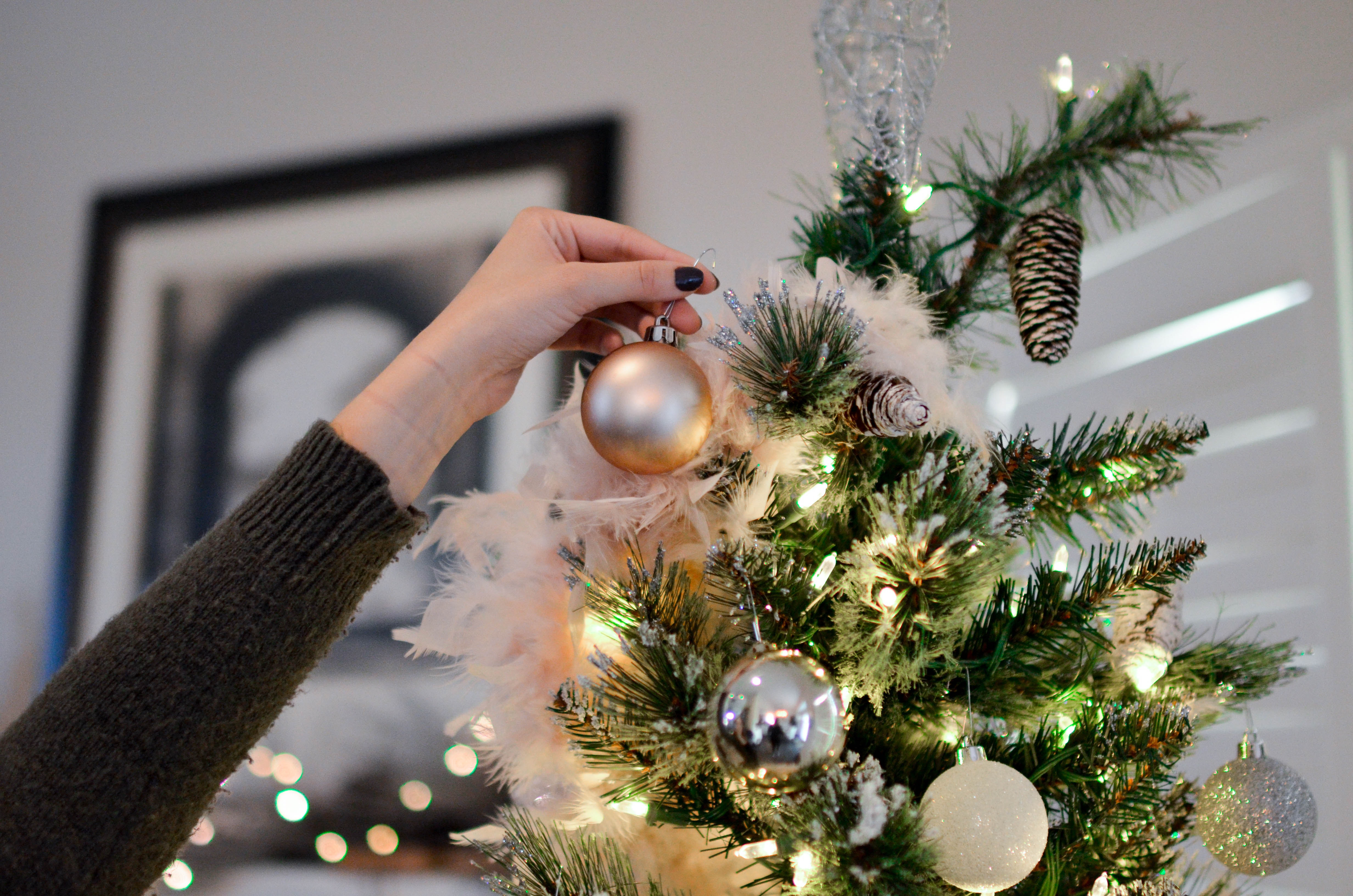 Amazon selling and shipping live Christmas trees this holiday season, like this one getting decorated