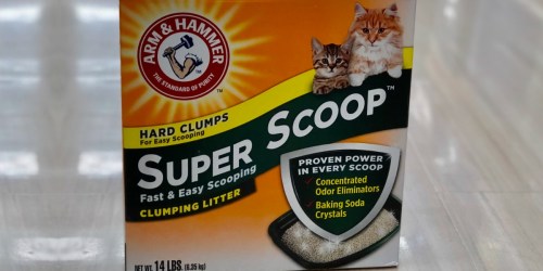 Arm & Hammer 14 Lb Cat Litter as Low as $2 Each After Rite Aid Rewards