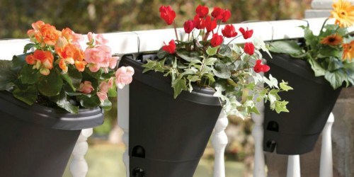 Up to 50% Off Bloem Planters and Window Boxes + Free Shipping at Home Depot