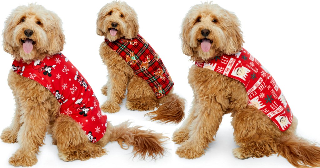 Dog Holiday Costumes at JCPenney