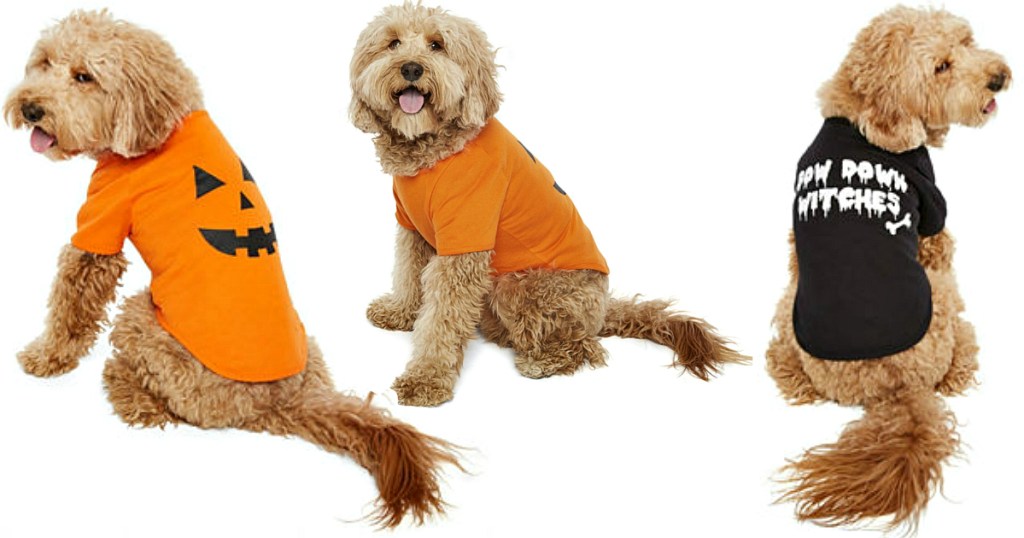 Dog Shirts at JCPenney