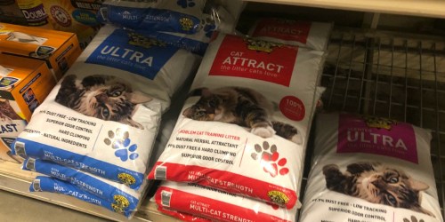 FREE Dr. Elsy’s 40lb Cat Litter Bag After Rebate (Up to $40 Value!)