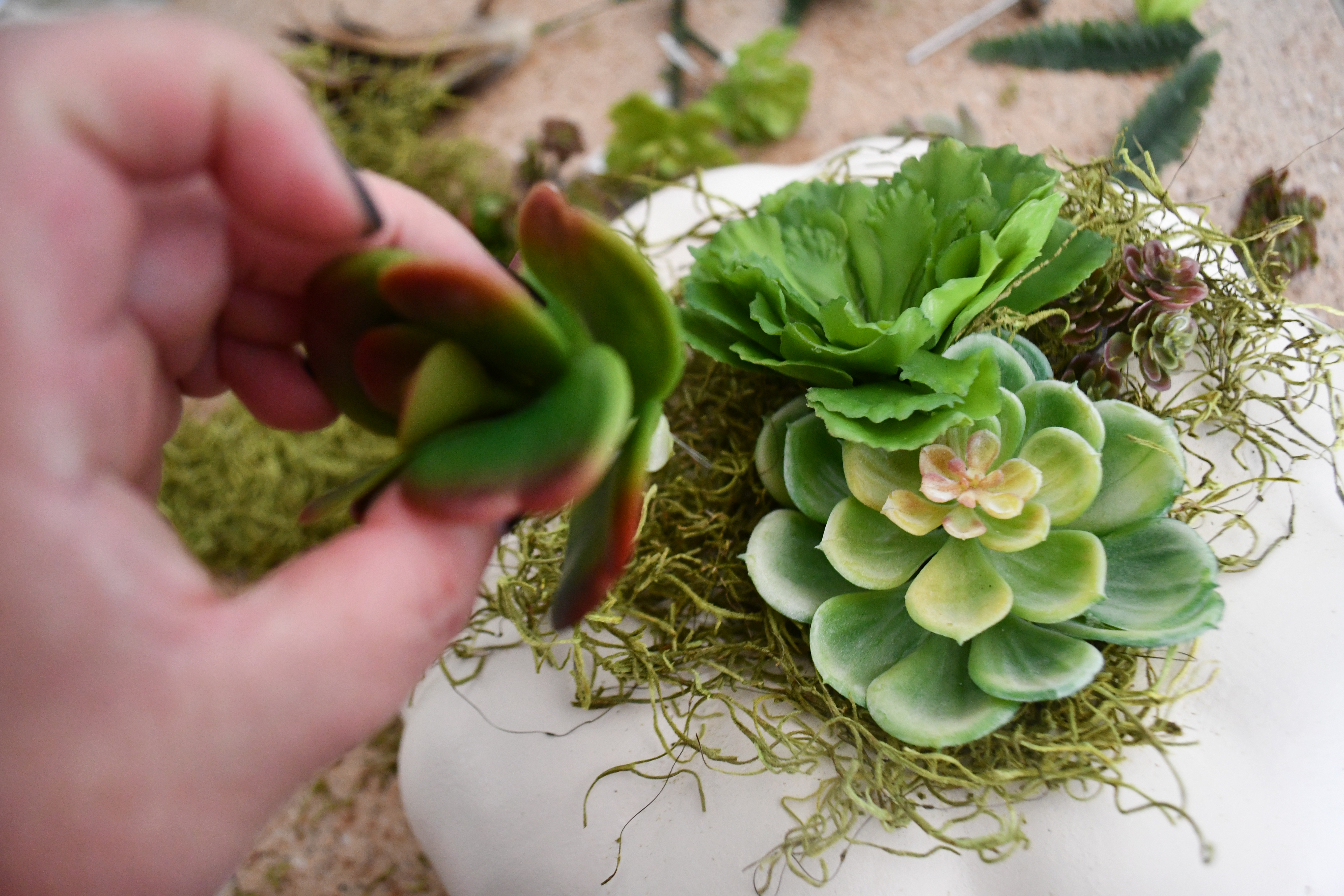 style your fall table with this DIY succulent centerpiece idea - here, adding succulents to the moss