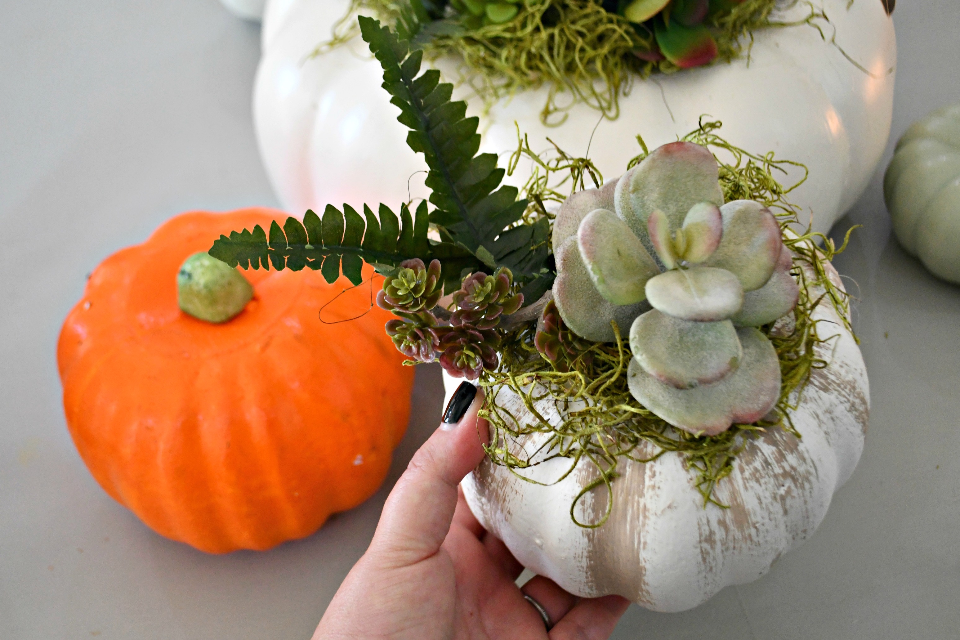 style your fall table with this DIY succulent centerpiece idea - here, a smaller version