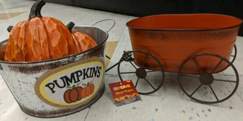 Fall Decor 50% off at Rite Aid