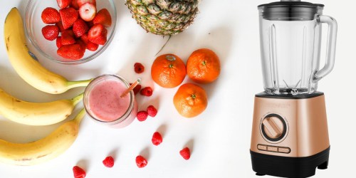 Walmart.com: Farberware Performance Blender Only $12 (Regularly $33+)