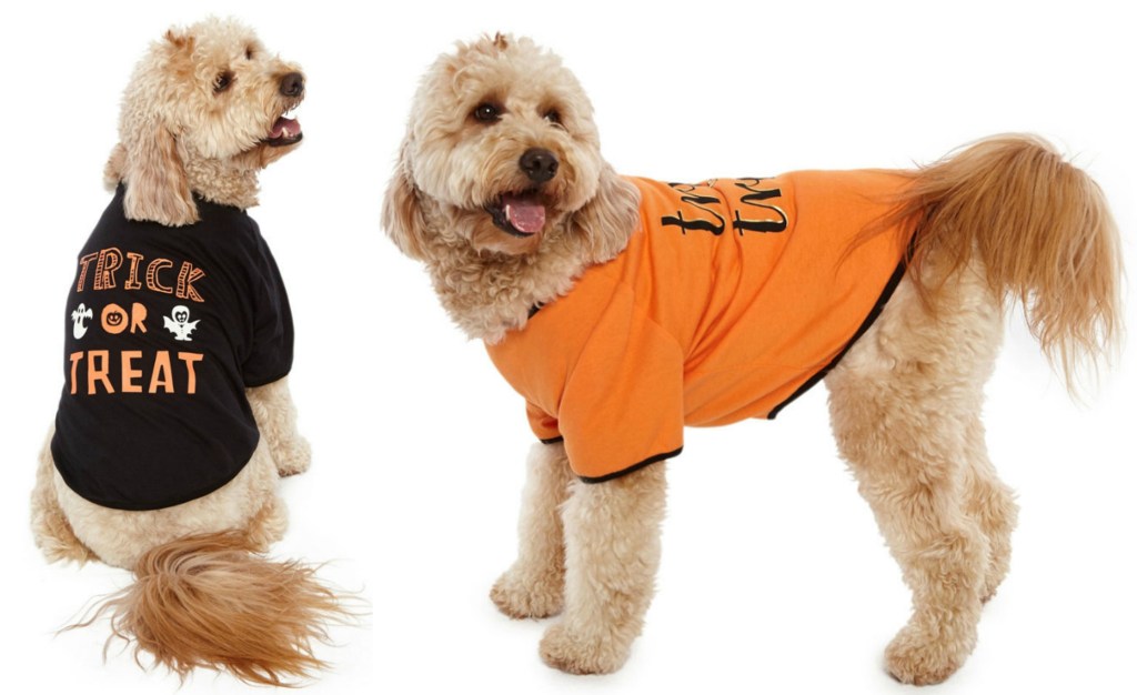 Pet Costume Shirts at JCPenney