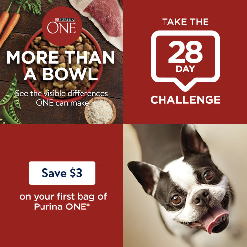 PurinaOne_28_day_Challenge_DOG_r5_5B1_5D