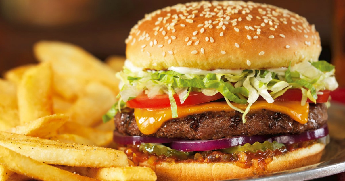 Red Robin Burger and Bottomless Fries 