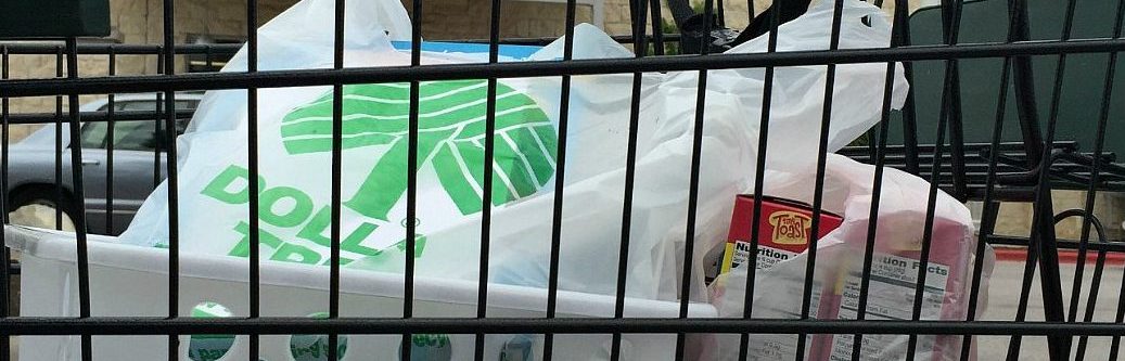 dollar tree shopping cart with bags