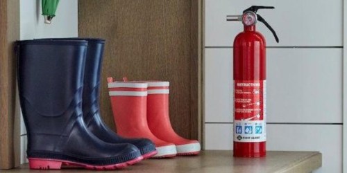 First Alert Rechargeable Fire Extinguisher Only $9.99 For Ace Hardware Rewards Members