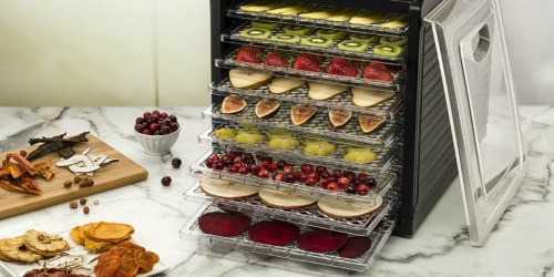 Gourmia 6-Tray Food Dehydrator Just $64.99 Shipped (Regularly $130)