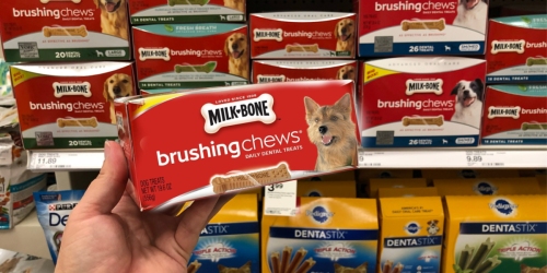 Amazon: Milk-Bone 50-Count Mini Brushing Chews Dog Treats Just $6.93 Shipped & More