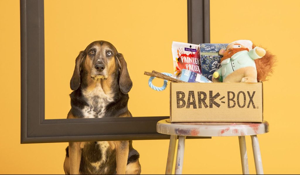 Bark Box
