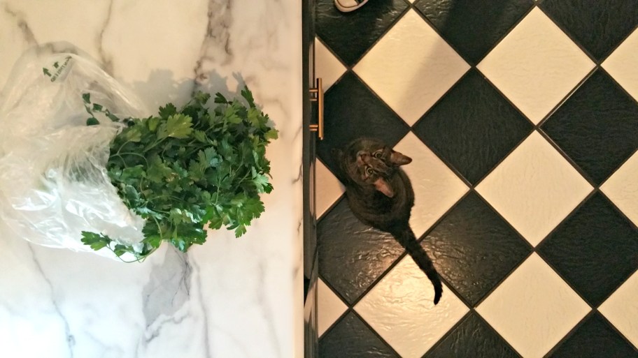 chopped parsley on a counter being eyed by a black cat