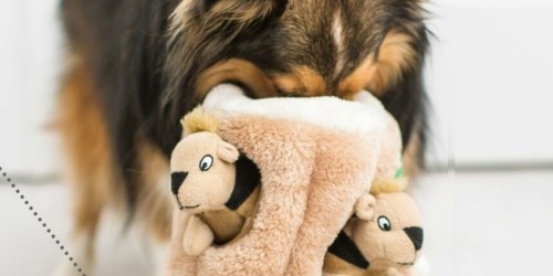 Outward Hound Hide-A-Squirrel Plush X-Large Dog Toy Only $9.80 Shipped