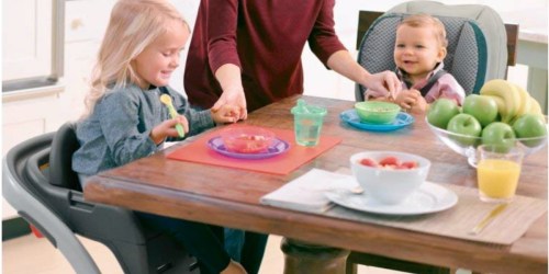 Graco Blossom 6-in-1 Convertible Highchair Only $113.99 Shipped (Regularly $190) – Awesome Reviews
