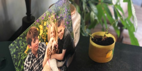 11″x14″ Metal Photo Panel ONLY $14 w/ Free Walgreens Same Day Store Pickup