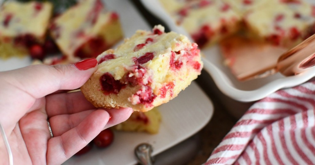 holding cranberry cake slice 