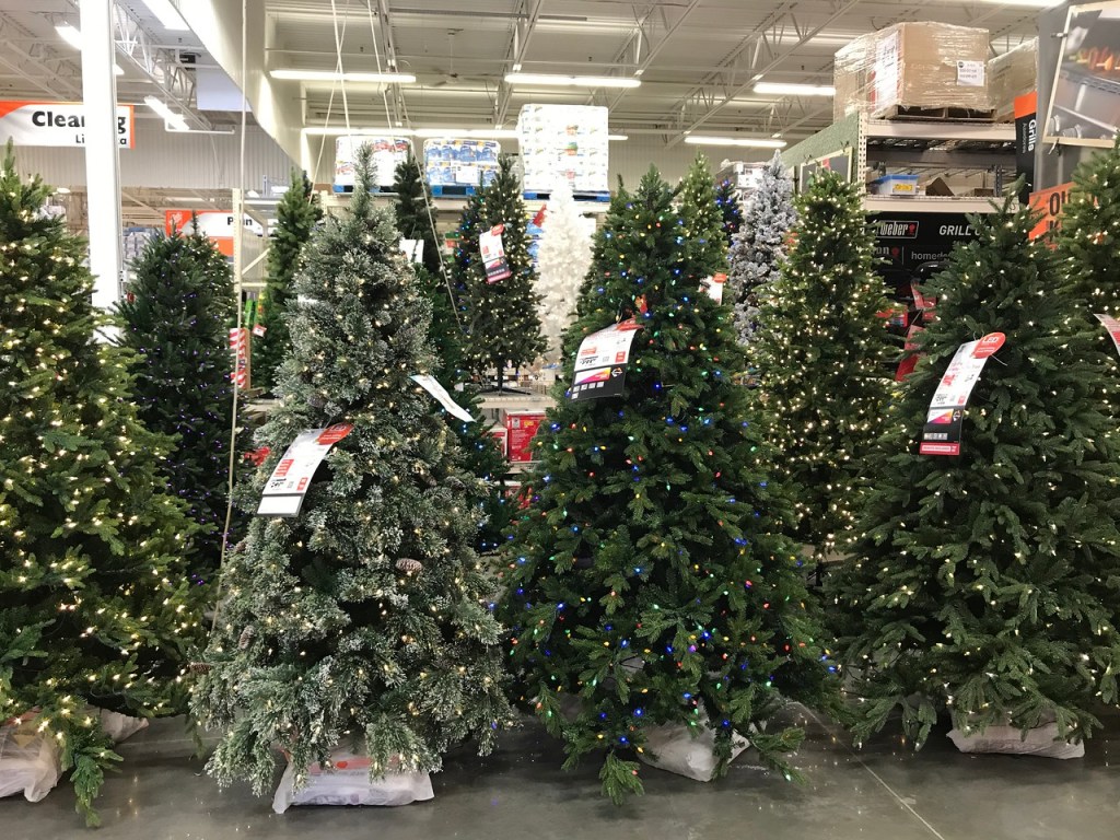 Christmas trees at Home Depot