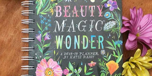 Katie Daisy 2019 Weekly Planner Only $7.49 Shipped (Regularly $15)
