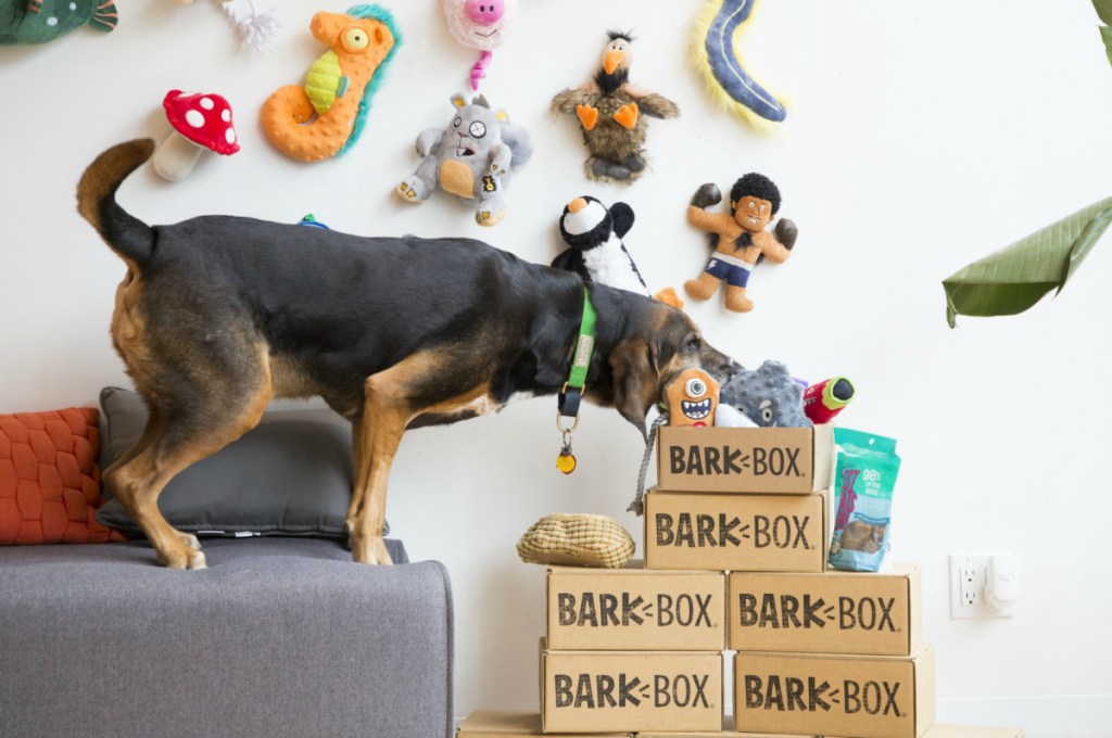 Barkbox boxes