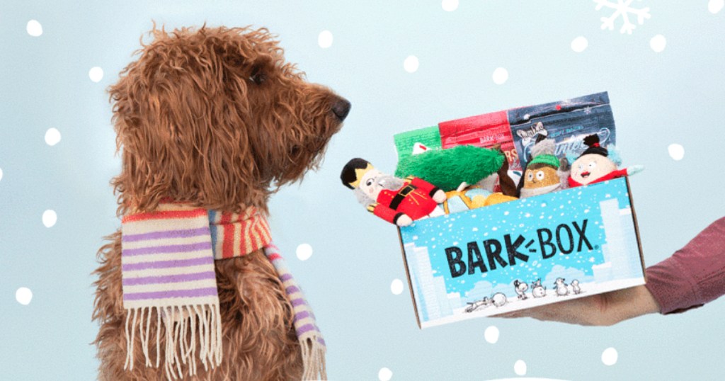 Barkbox double deluxe boxes