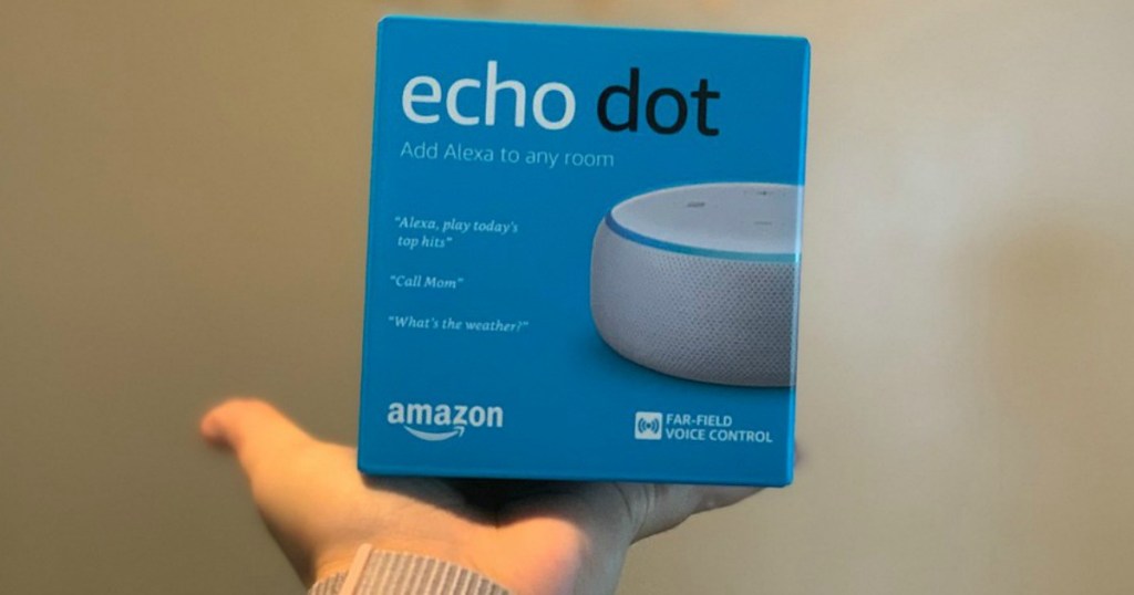 holding Echo Dot