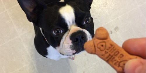 Up to 70% Off Dog Treats, Toys & More at Amazon