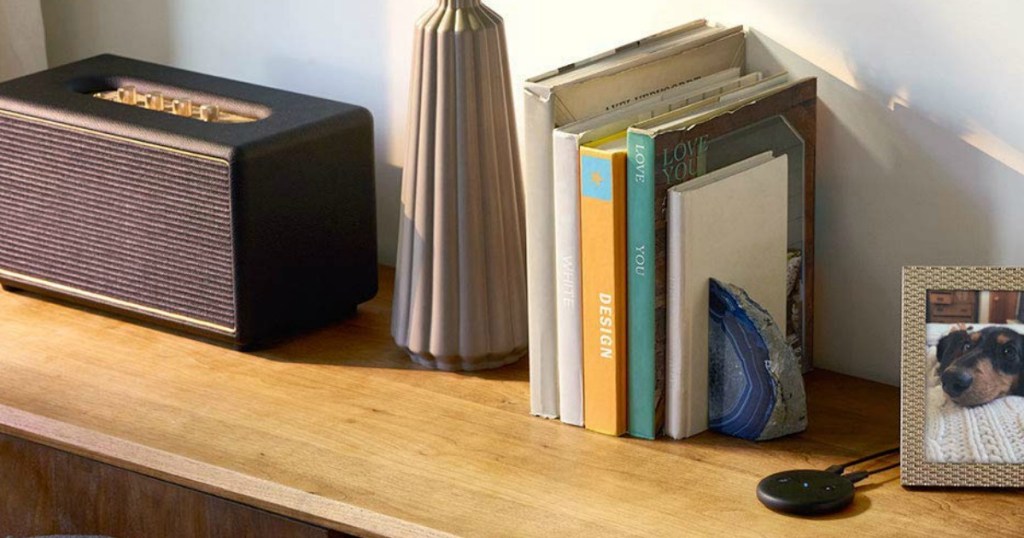 Amazon Echo Input on shelf by books and speaker