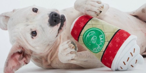 50% Off Wondershop Pet Toys, Collars, & More at Target.com