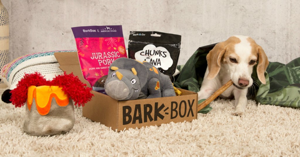 BarkBox Flash Sale