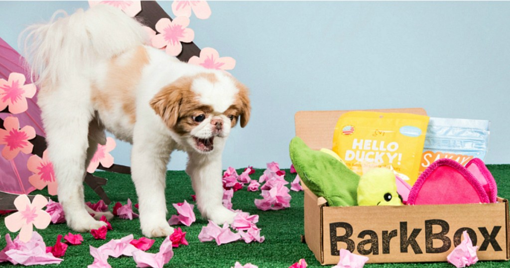 BarkBox subscription box