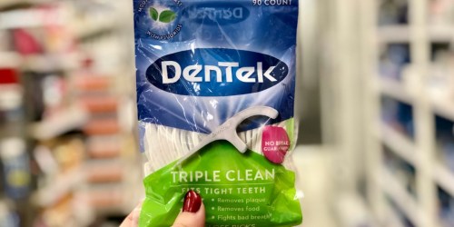 DenTek Floss Picks 90-Count Only 67¢ at Target