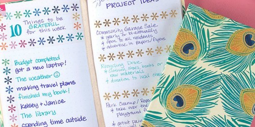 Erin Condren Notebook 2-Pack Only $14.99 on Zulily